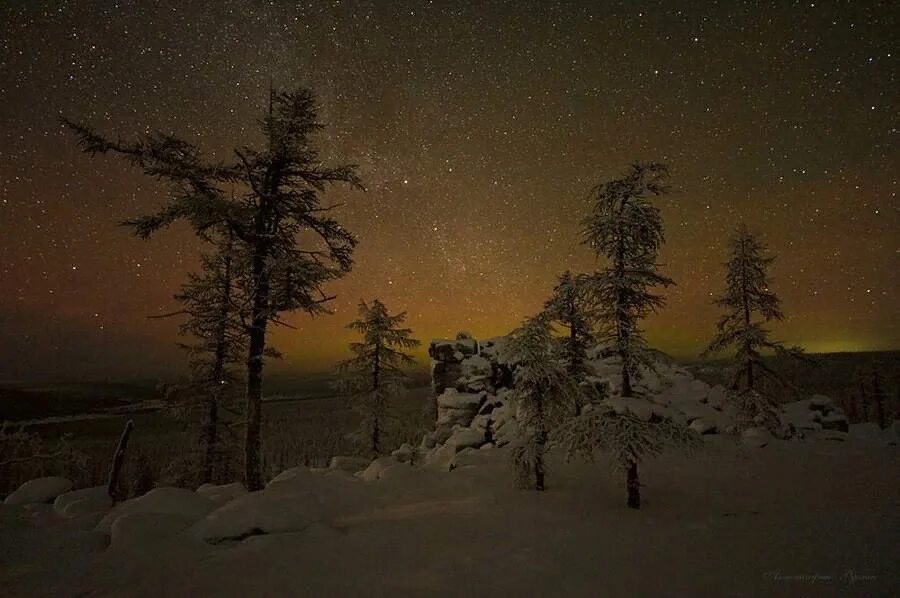 Ночная зимняя тайга. Зимняя тайга. ночная тайга зимой. ночной зимний лес. лес зимой ночью.