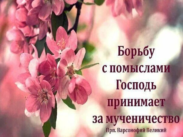 О борьбе с помыслами православие. О борьбе с помыслами православие. Никон воробьев изречения. Борьба с помыслами святые отцы. Как бороться с помыслами.