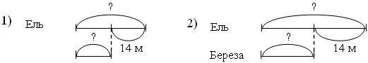 Высота ели 19 м березы на 4. Высота сосны. Высота клена. Высота сосны. Математические задачи про ель.