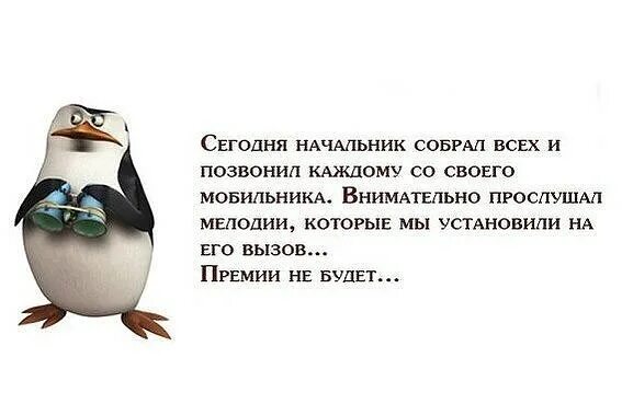 Не хочу давать свой мобильный. Фразы про начальника. Фразы про премию. Приколы про начальника. Афоризмы про начальника.