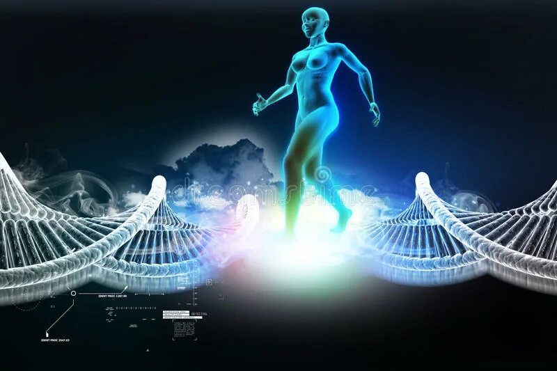 Проект геном человека. Геномика. Генная терапия. Днк и ее человек. Эволюция днк.