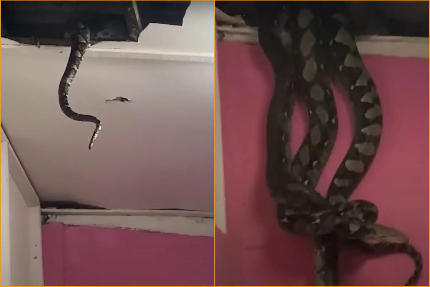 Python ceiling