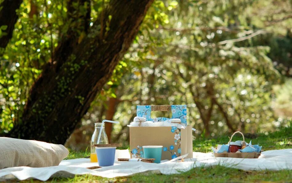 Весенний пикник. Пикник в весеннем лесу. Пикник ранней весной. Идеи для пикника весной. Бумажный пикник