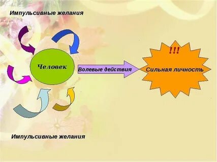 Волевое действие