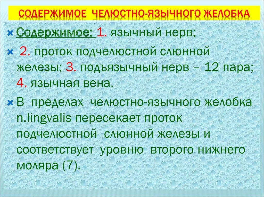 Абсцесс желобка. Челюстно язычный желобок. челюсть язычного желобка. флегмона челюстно язычного желобка. содержимое челюстно язычного желобка.