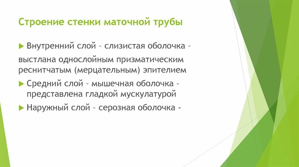 Для чего нужны сайты. Для чего нужен. Зачем нужны сайты. Почему бизнесу нужен сайт.