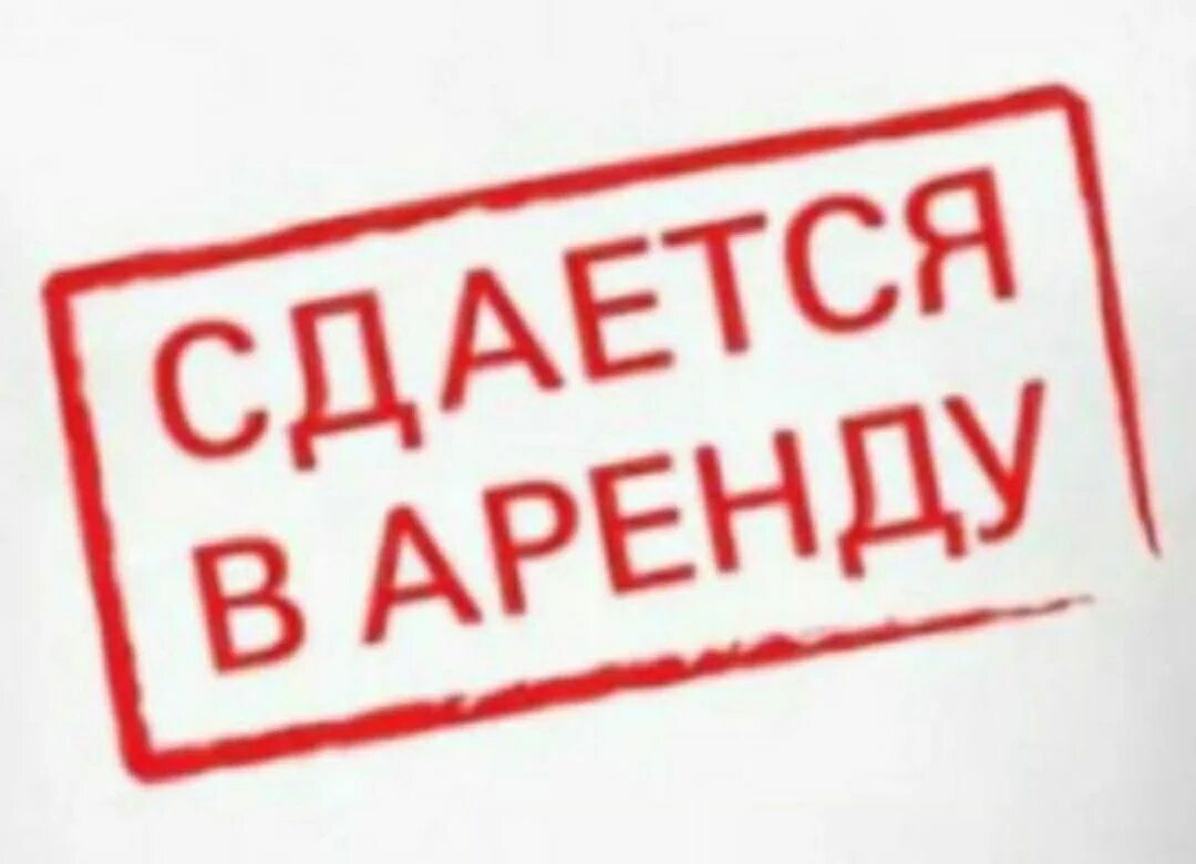 Сдается в найм. Сдается в найм