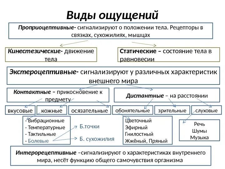 Свойства процесса ощущений. Виды ощущений в психологии таблица. Характеристика основных видов ощущений психология. Виды ощущений в психологии кратко. Схема виды ощущений психология.