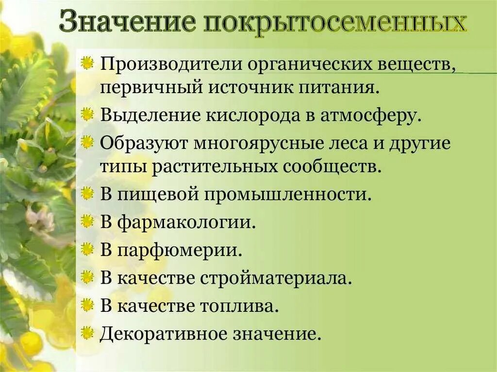 Значение покрытосеменных растений. Покрытосеменные в жизни человека и в природе. Значение покрытосеменных растений в природе. Значение покрытосеменных в природе.