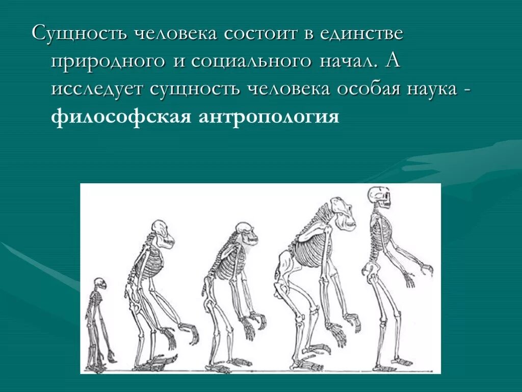 Человек в специальных науках. Сущность человека. Сущность человека состоит в. В чем состоит сущность человека. Социальная сущность человека рисунок.