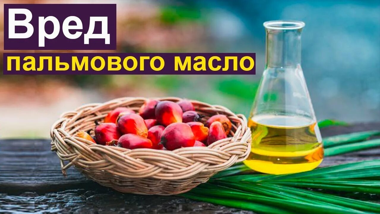 Масло вредное для организма. Пальмовое масло вред. Пальмовое масло вредное. Пальмовое масло полезное.