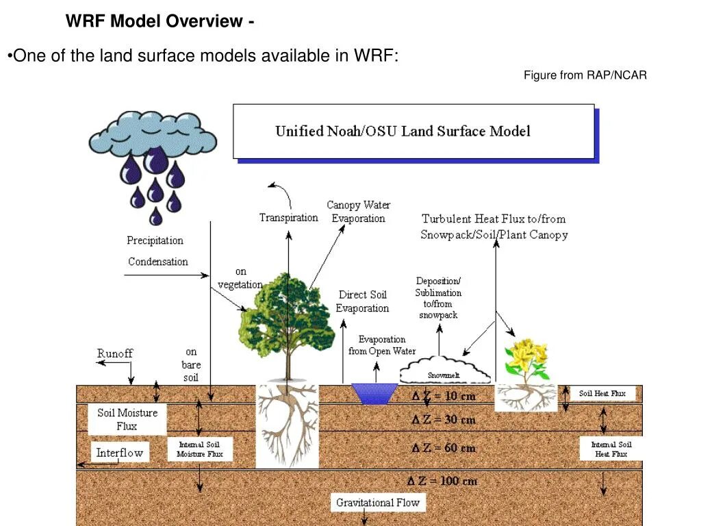 Model overview