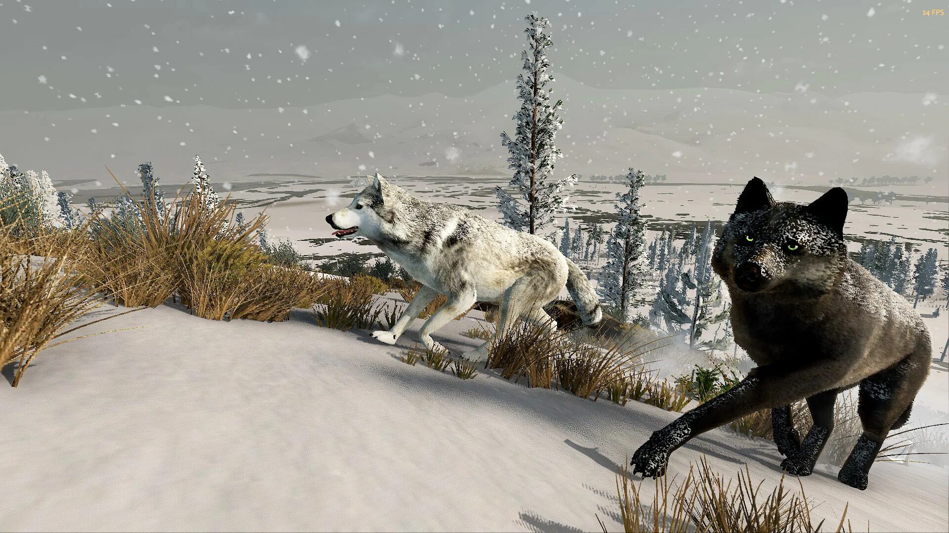 WOLFQUEST Anniversary Edition. Вулф квест 3. Стая Волков WOLFQUEST. Вулф квест 3 Анниверсари эдишн. Игра где ты волк