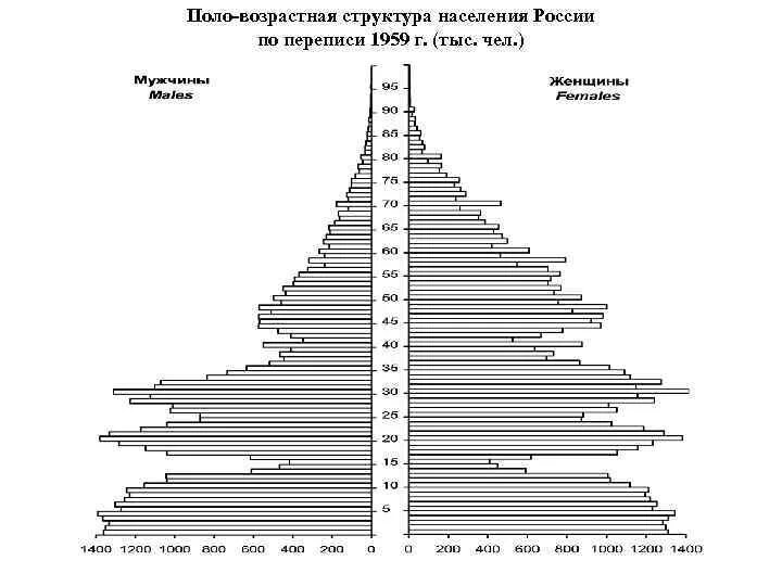 Половой состав франции. Половозрастная пирамида СССР 1959. Возрастно-половая структура населения России. Возрастная структура населения России. Возрастной состав населения России.