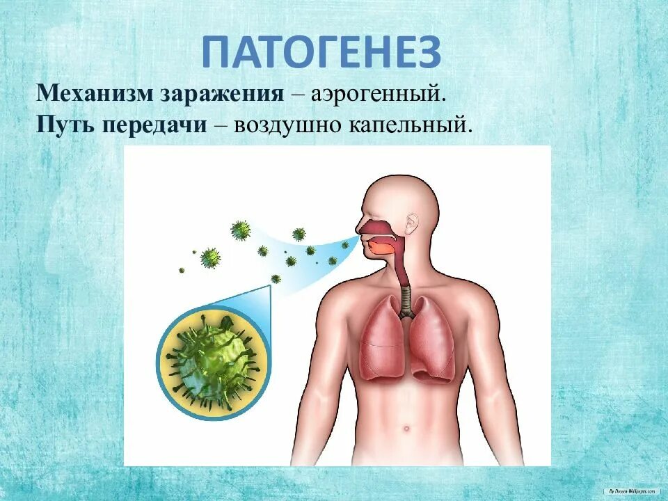 Пути воздушно капельного механизма передачи. Болезни с воздушно капельным механизмом передачи инфекции. Пути воздушно капельного механизма передачи. Воздухокапельный путь передачи. Воздушно-капельный путь передачи инфекции.