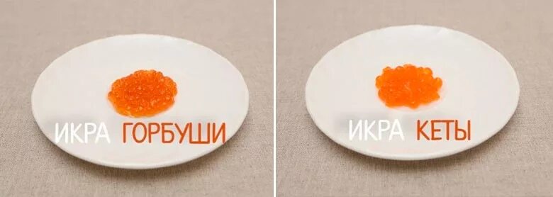 Какая икра вкусней горбуша нерка или кета. Икра кеты нерки горбуши отличия. икра кеты и горбуши. икра кеты и горбуши отличия. икра кеты и горбуши разница.
