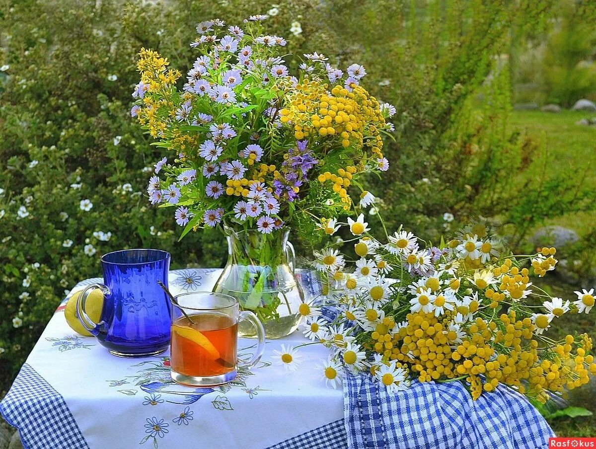 Композиция "летняя". Лето июль. Лето июль. Осень. Июль на дворе.