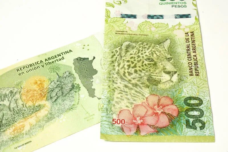 Курс аргентинского песо к рублю. Аргентинские банкноты. Денежная единица аргентины. Аргентина валюта курс к рублю. Аргентинские деньги.