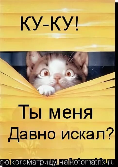 Ку ку я тут. Ку-ку картинки. Открытки Куку. Ку-ку надпись. Ку ку я здесь.