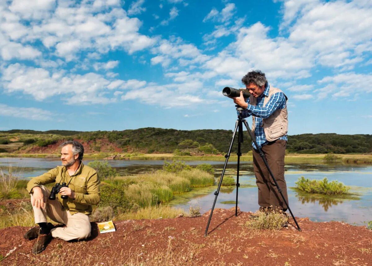 Бердвотчинг. Бердвотчинг. Бердвотчинг. Бердвотчеры. Человек наблюдает за птицами.
