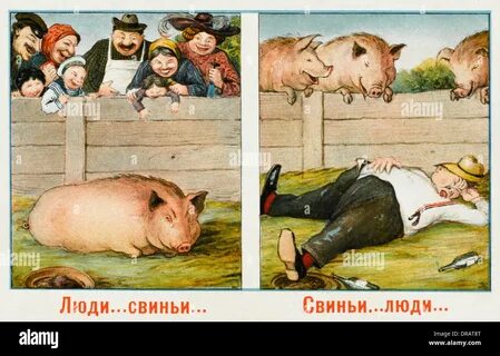 Свиньи ели людей
