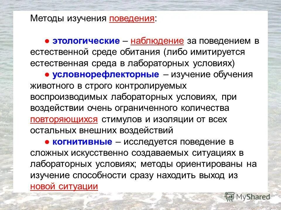 Закономерности поведения животных в естественных. Исследование поведения животного. Поведение приматов. Закономерности поведения животных в естественных. Пищевое поведение животных.