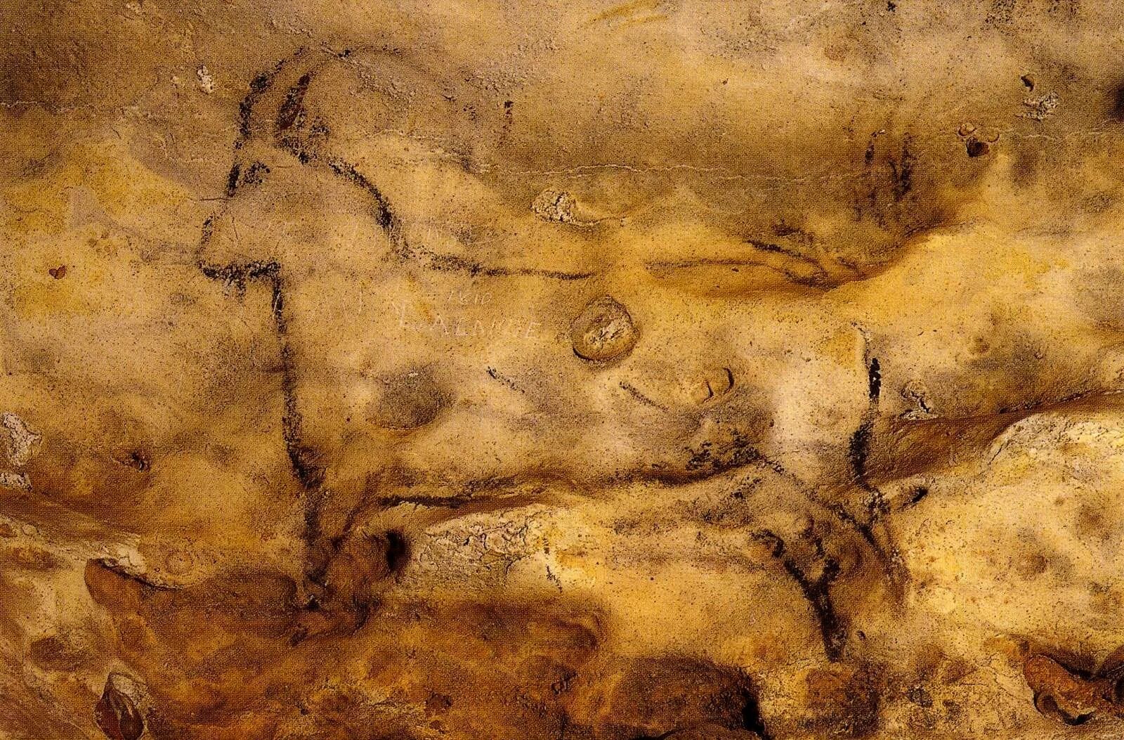 Первобытные краски. Наскальная живопись пещера Руффиньяк. Мамонт пещера Руффиньяк. Росписи в пещере Руффиньяк. Мамонты пещеры Руффиньяк (Франция).