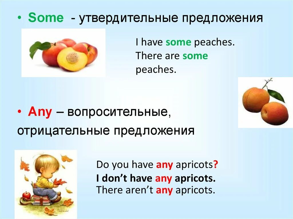 Упражнения any some a an 5. Some any упражнения. Some any презентация. Английский some any упражнения. Some any no правило 4 класс.