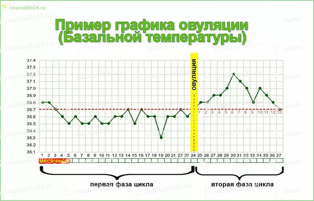 Боли при овуляции. Самочувствие при овуляции. Боль при овуляции симптомы. Состояние при овуляции у женщин. Тянущие боли живота в середине цикла