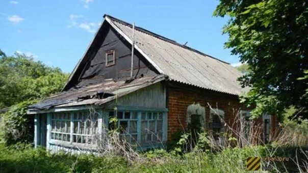 Челюстино Тульская область Белевский район. Деревня Челюстино Тульская. Белевский район Тульской области. Тульская область Белёвский район деревья. Тульские заброшенные деревни