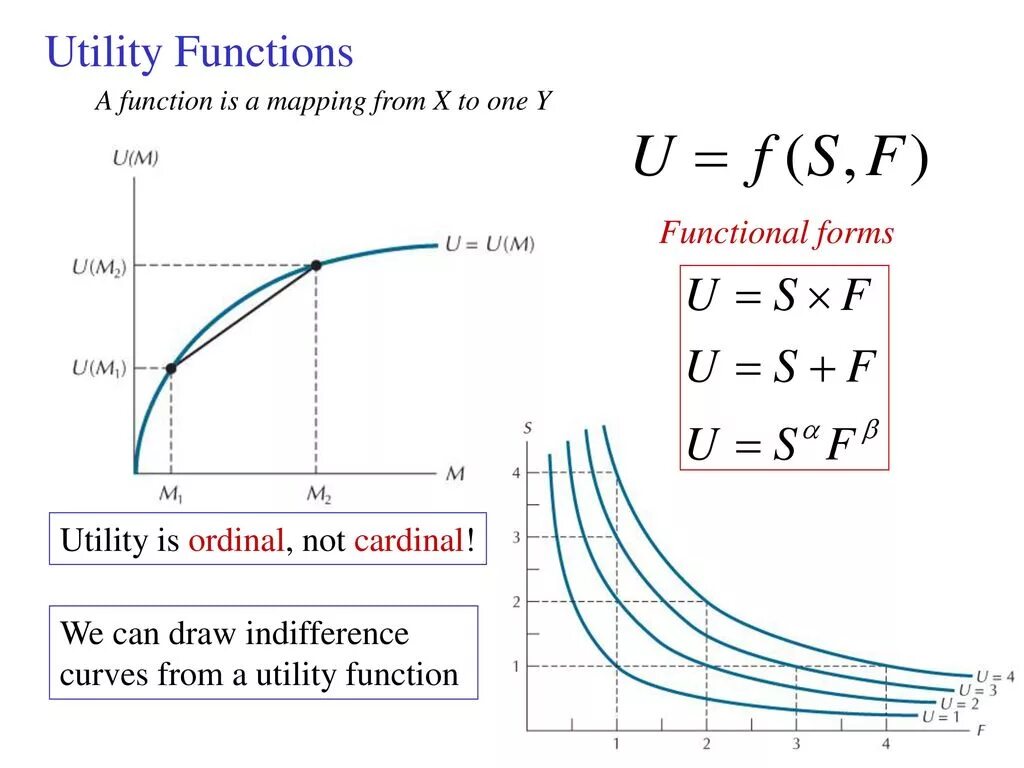 Ordinal Utility function. Bernoulli Utility function. Utility functions Economics.