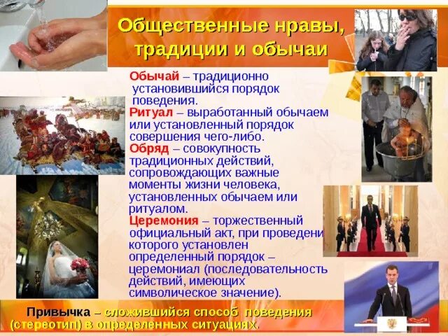 Социальное поведение основывается на нравах и обычаях