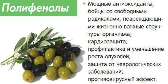 Полезные вещества в оливках. Оливки польза. Маслины оливки витамины. Оливки польза и вред.