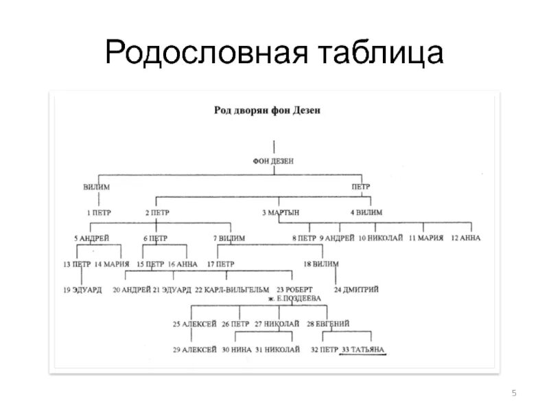 Составьте генеалогическую таблицу нисходящего родословия Создание коллажа в Adobe Photoshop. Шаблон генеалогического древа презентация