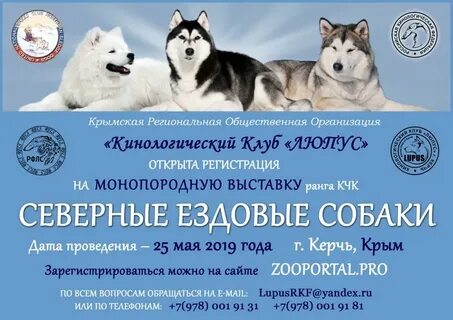 Зоопортал новосибирск