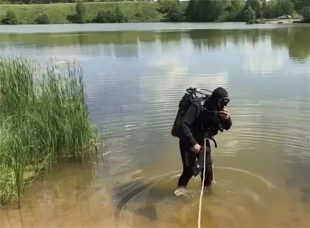 Похититель прудовых