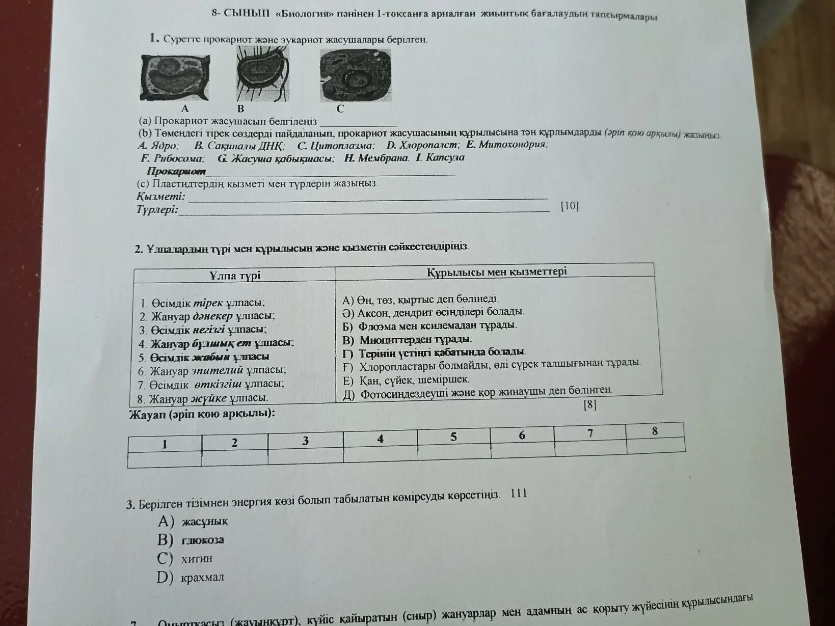 Биология 7 класс соч 1 четверть казахстан. Соч по биологии 10 класс. соч по биологии 7 класс 4 четверть.