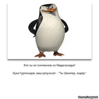 У какого пингвина всегда были действия