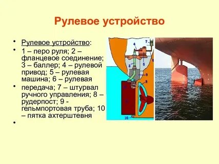 Зу судебное