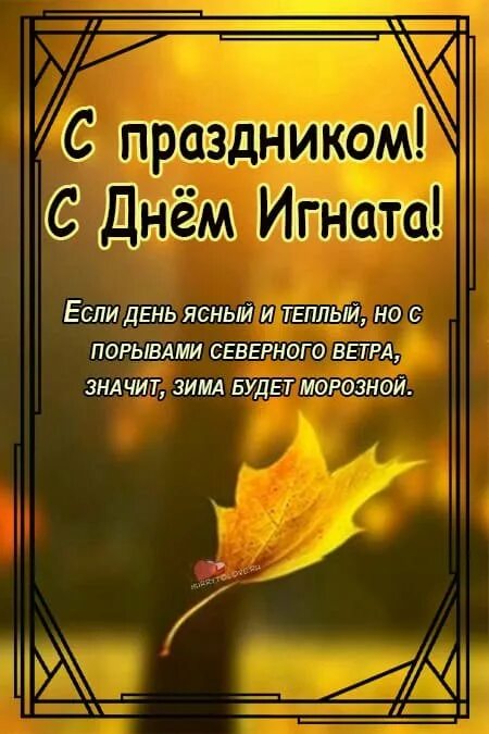 Народные приметы октября. Народный календарь на 4 октября. Народный календарь на 4 октября. 11 ноября календарный праздник-день. Народный календарь на 4 октября.