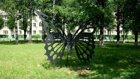 Пересвет краснозаводск