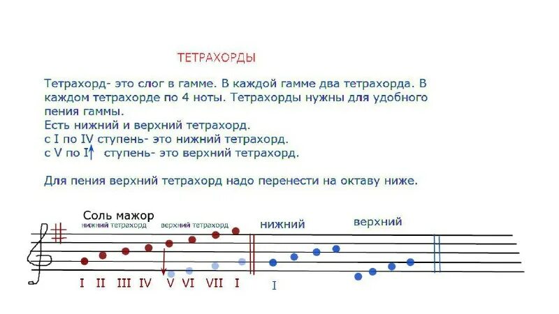 Прима секунда терция кварта квинта септима октава на фортепиано. Секста септима октава. Интервал звукоряда в восемь нот кроссворд. Кроссворды для детей на музыкальную тему. Интервал б3 от ноты фа.