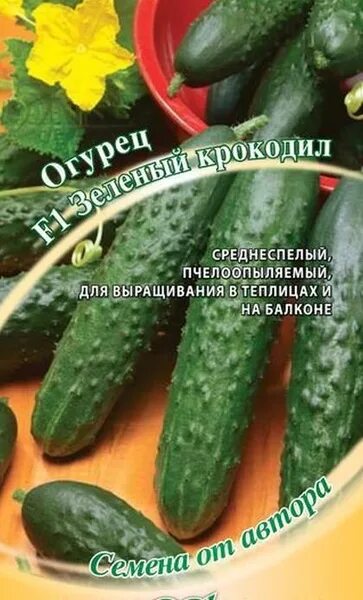 Сорт огурца аллигатор - найдено 90 фото