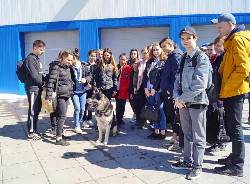 Служебное собаководство. Отзывы собаководов. Кинолог зп. Отзывы собаководов. Отзывы собаководов.