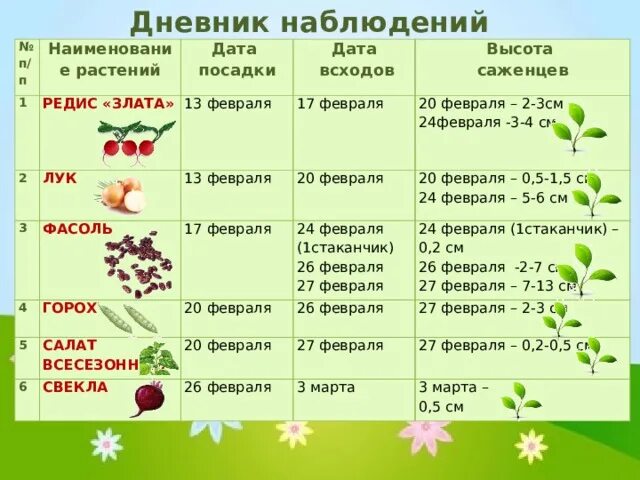 Наблюдение за растением 6 класс биология. Дневник наблюдения за Ростен. Дневник наблюдений за посадками. Дневник наблюдений за растениями. Дневник наблюдения роста растений.