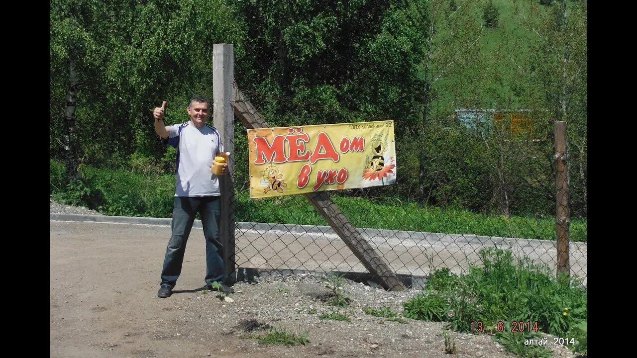 Пасека в чемале горный алтай. Мёдом в ухо пасека горный алтай. Пасека медовый рай горный алтай. Медом в ухо бирюзовая катунь. Алтай пасека бирюзовая катунь.