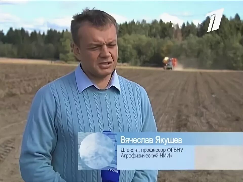 Агрофизический институт санкт петербург якушев. Агрофизический институт спб. Агрофизический институт спб. Якушев орел. Агрофизический научно-исследовательский институт.