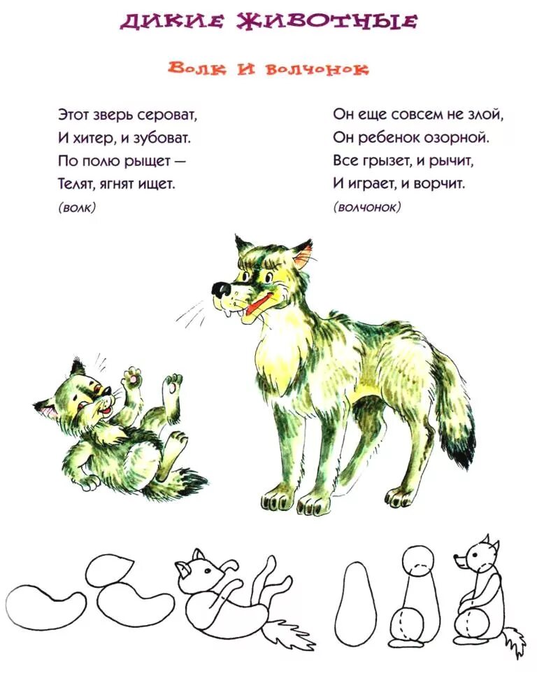 Волк и ягненок текст. Басня волк и ягненок текст. Волк и ягненок слова ягненка. Крылов волк и ягненок текст. Волк и ягненок крылова текст