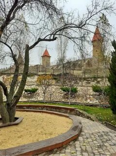 Волжский парк лога
