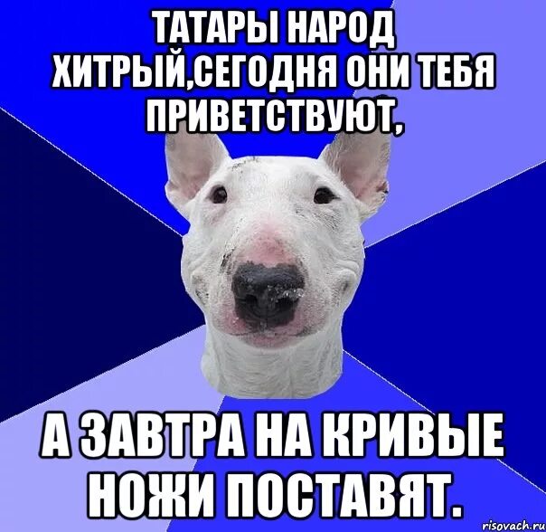 Почему не любят татар. Мемы про татар. хитрый татарин. татарин мем. татарка мем.